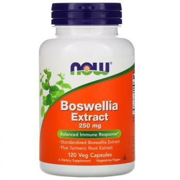 Now Foods Boswellia Extract (Экстракт босвеллии) 250 мг 120 капсул