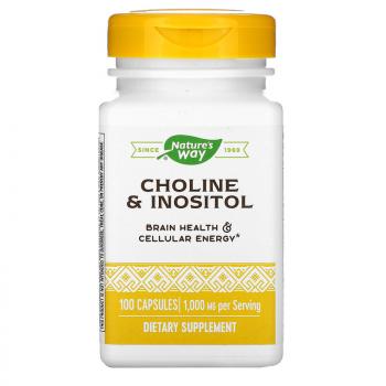 Nature's Way Choline & Inositol (Холин и инозитол) 500 мг 100 капсул