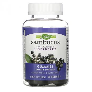 Nature's Way Sambucus Standardized Elderberry (стандартизированный экстракт бузины) 60 жевательных таблеток