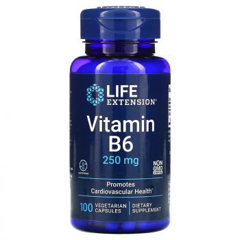 Life Extension Vitamin B6 (Витамин B6) 250 мг 100 капсул
