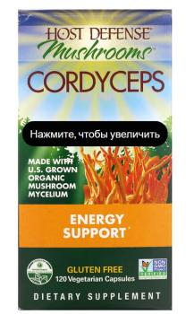 Fungi Perfecti Cordyceps Energy Support (гриб кордицепс поддержка выработки энергии) 120 вегетарианских капсул